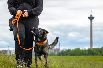 Hihnakäytös arjessa - pieniä muutoksia lenkille