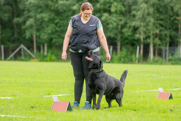 Tutustu rally-tokoon