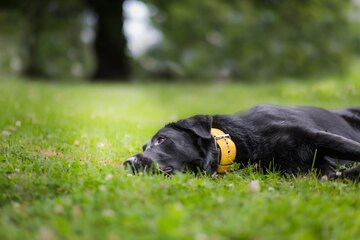 Rauha arjessa – pieniä taukoja päivään