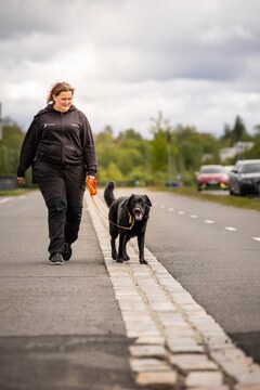 Ohitustreenit ulkona