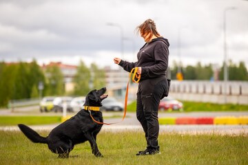 Hyvän mielen treenit