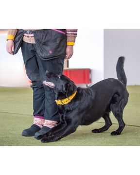 Harrastuslajin yksityistunti